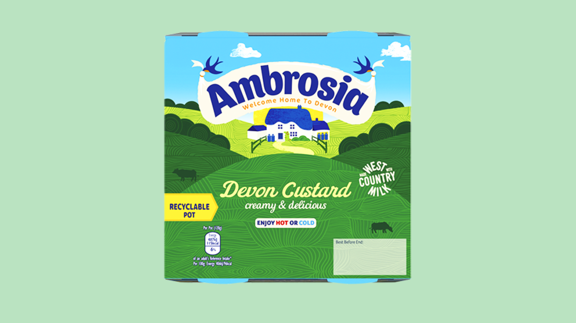 AMBROSIA DEVON CUSTARD 500G 4PACK
